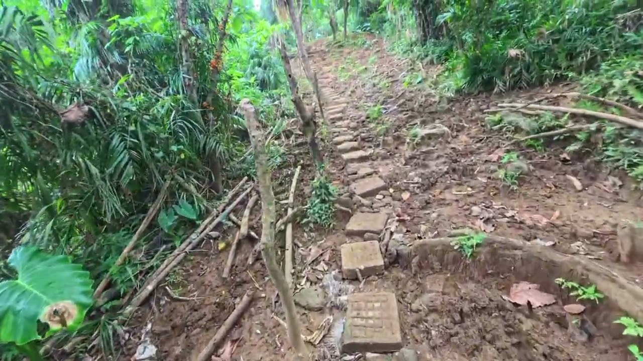 Trek to Binurong Point