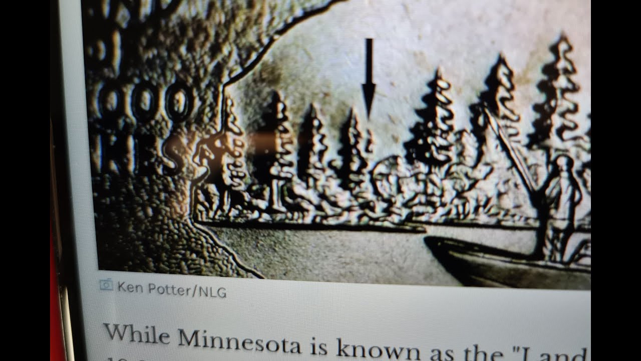 The Minnesota Extra Tree Quarter.