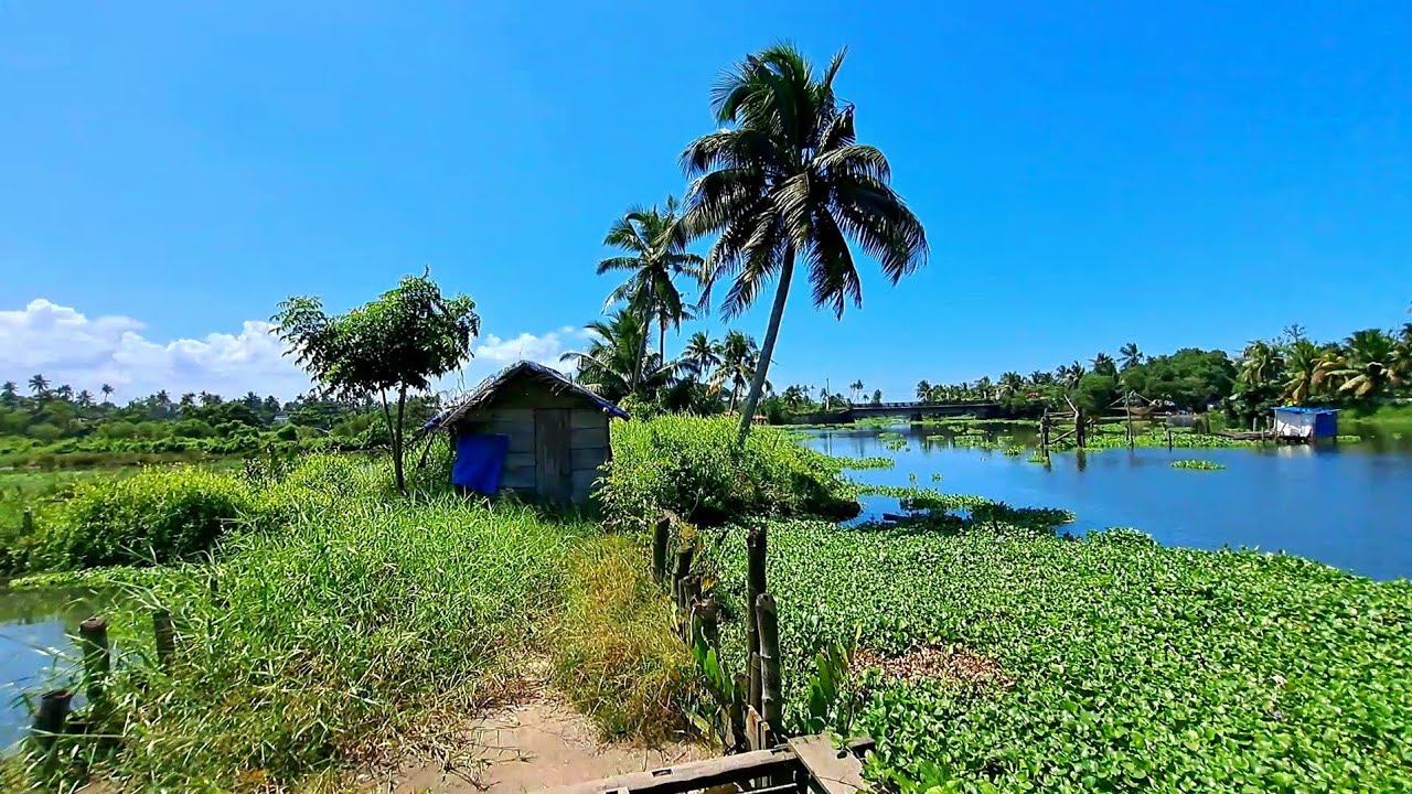 Walking Through the Beautiful Villages of South India / Walking Tour in Indian Village
