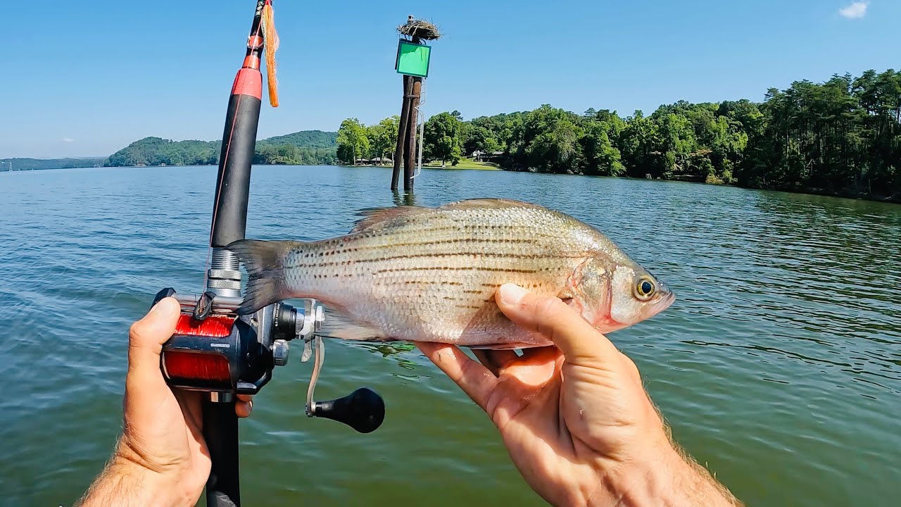 4 Hours of RAW and UNCUT Kayak Catfishing Video