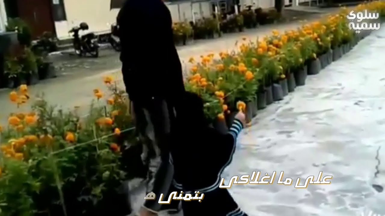 يابنتى المصونة انتى نور عيونى