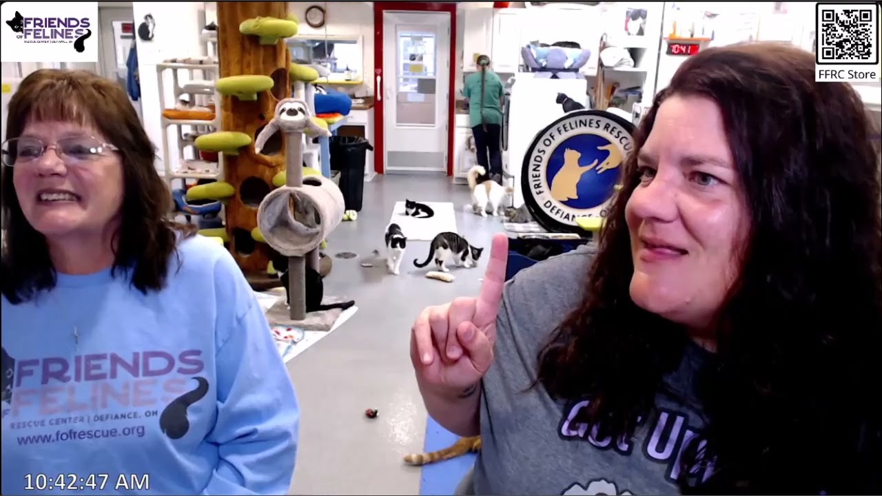 Q&A and Easter Fundraiser Drawing 03-20-2026  Friends of Felines Rescue Center (FFRC)