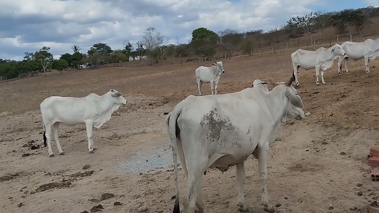 o tempo tá assim vamos cuida   