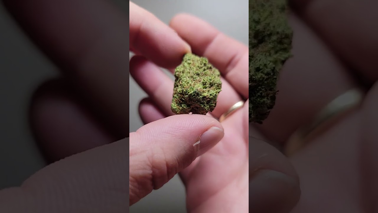zurple Punch THCA flower live and ready to ship #cbdproducts #420 #giveaway #cannabiscommunity420