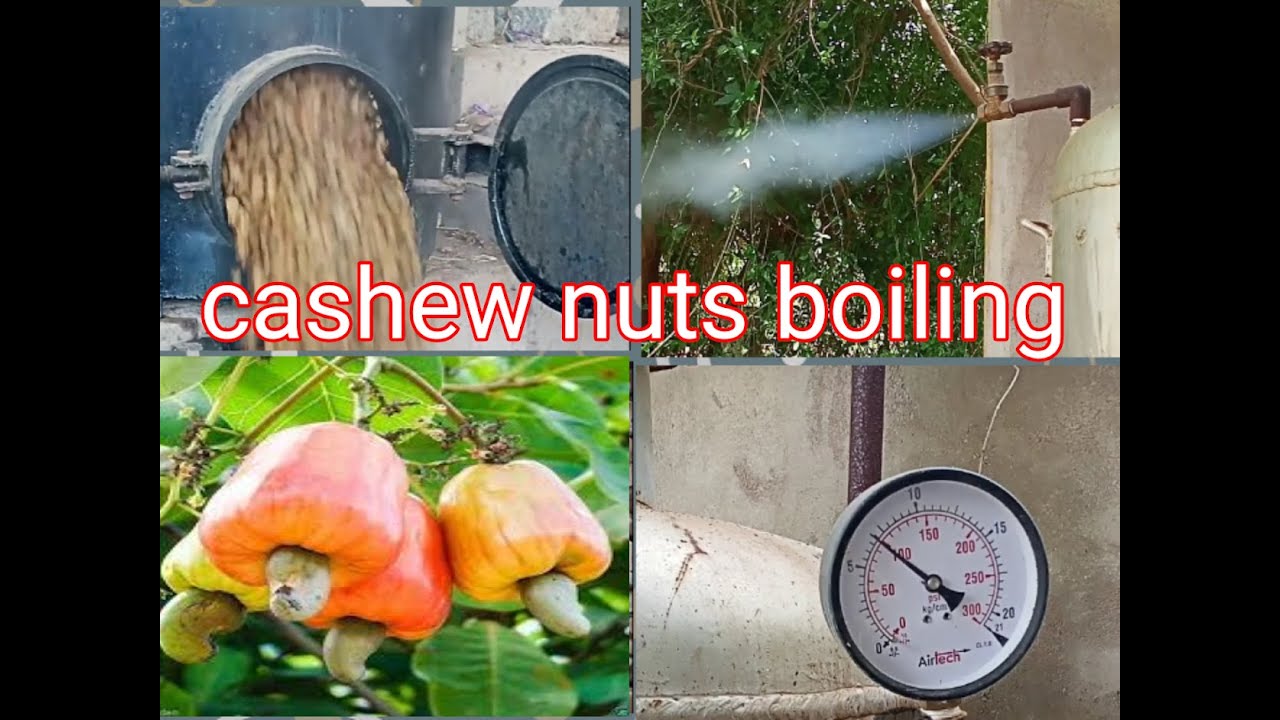 Boiling of cashew nut- with water tube boiler