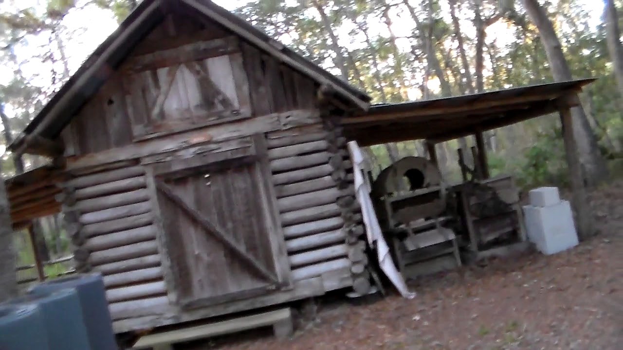 Cracker Village, Silver River Museum, Silver Springs State Park.