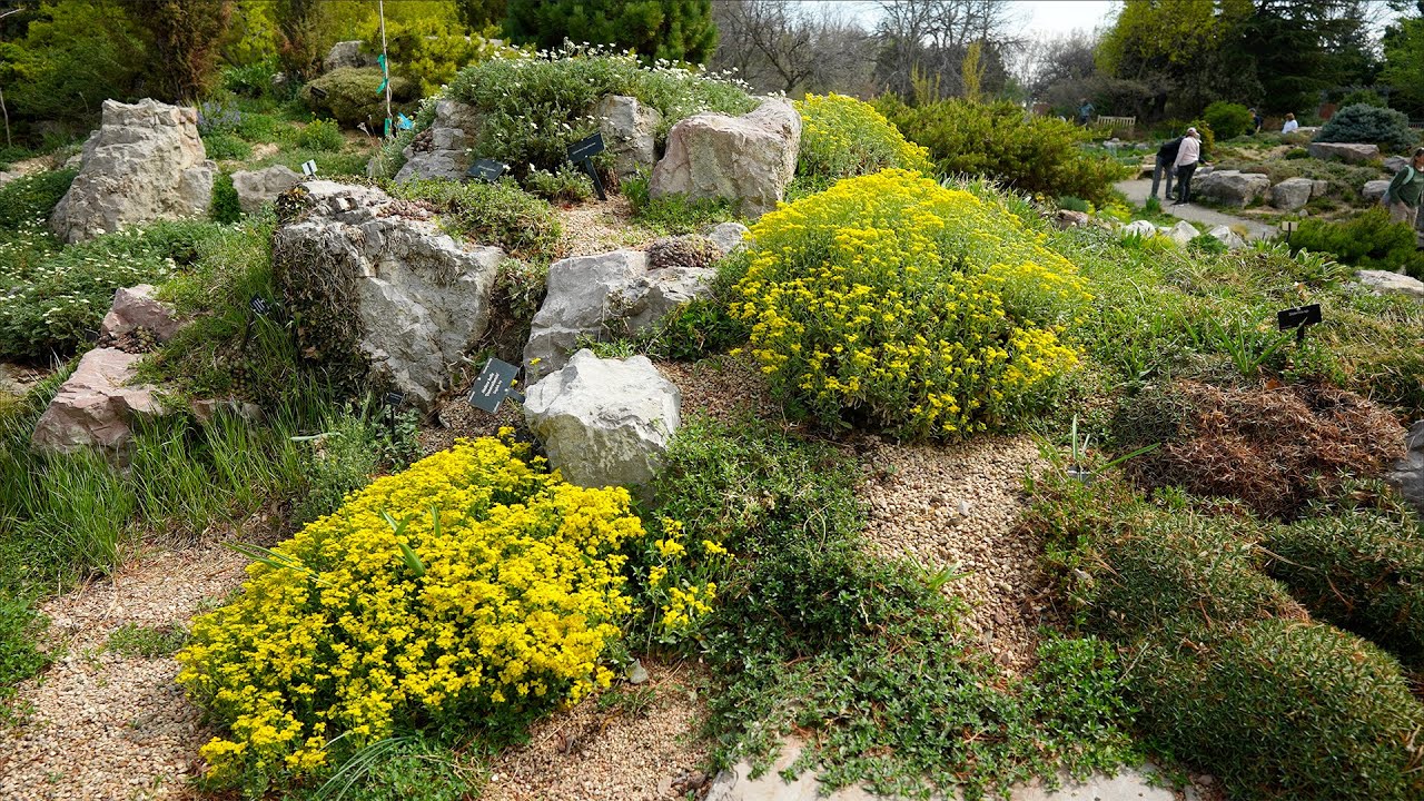 Rock Garden Tour with Music at Denver Botanic Gardens | Colorado Gardening Ideas