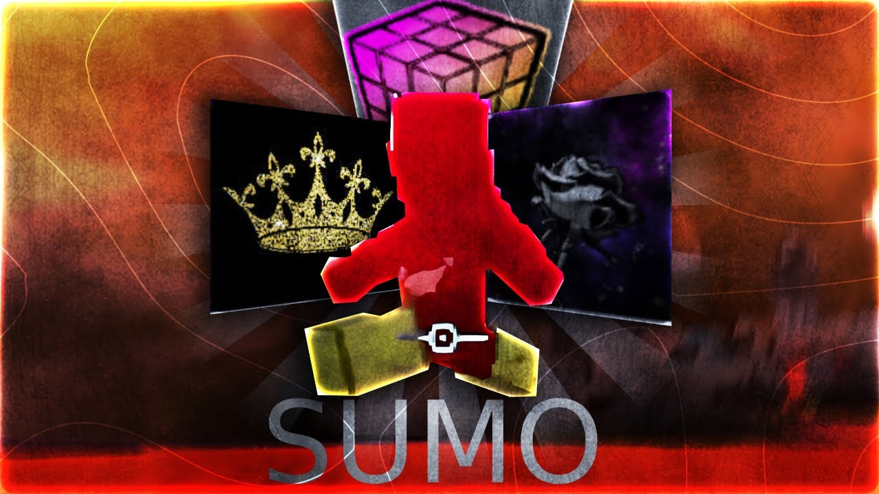 The Best Hive Packs for sumo