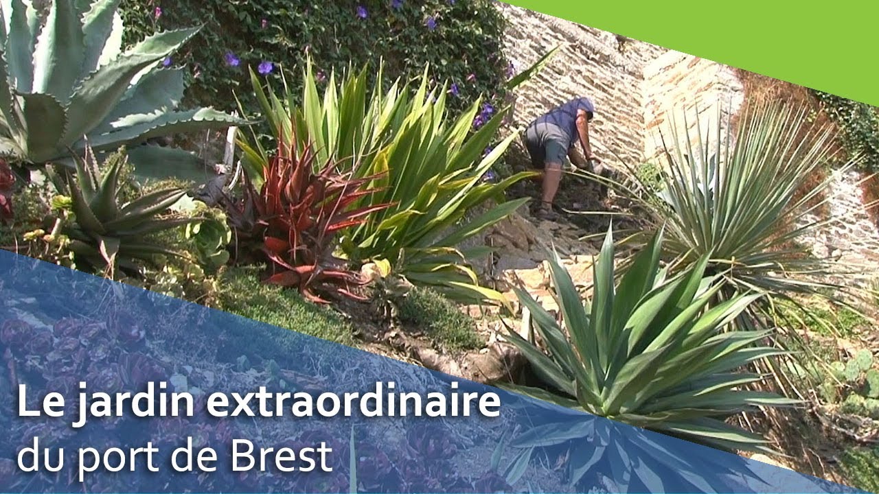 Naissance d’un  “Jardin extraordinaire” à Brest
