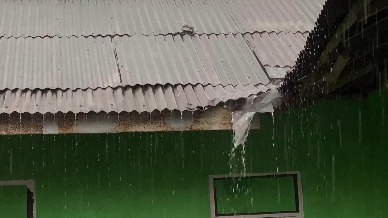 Cozy Rain Ambience for Full Night Sleep