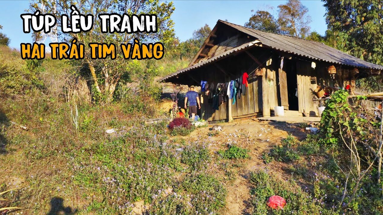 Hai vợ chồng trẻ rời xa bản làng sống gần gũi với núi rừng nuôi gà thả cá