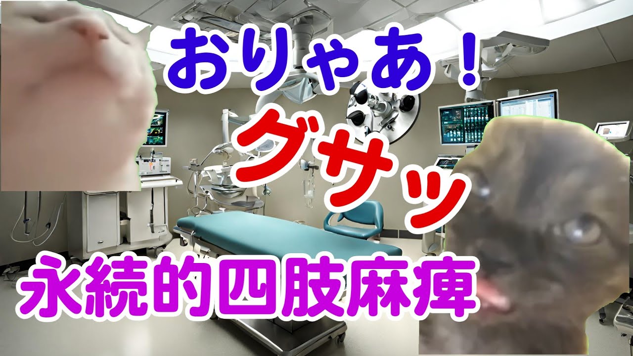 【多数の医療事故・伝説のやぶ医者】脳外科医T君 #猫ミーム