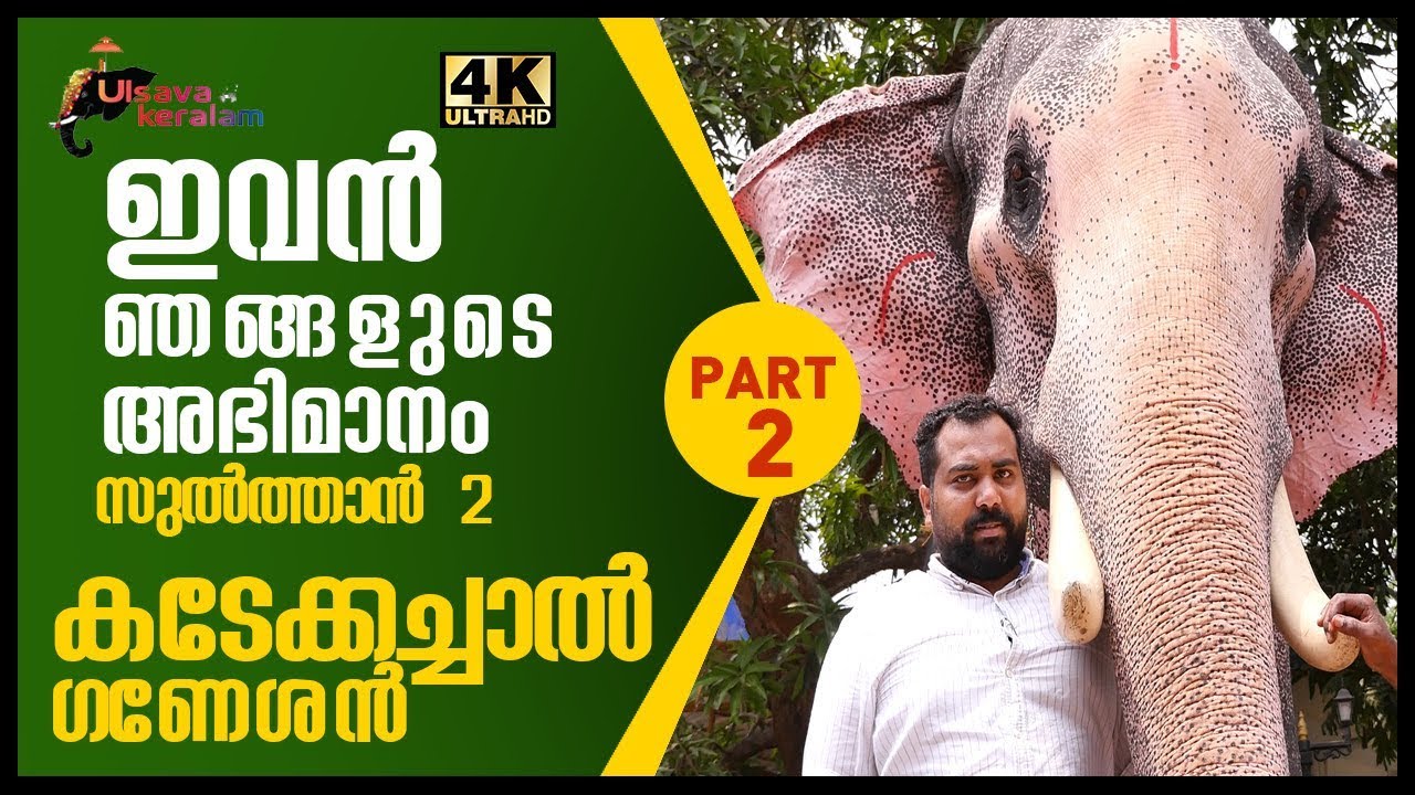 Junior ThechikottuKavu Ramachandran-Kadekachal Ganeshan-ഗണേശനെപറ്റി അവന്ടെ വീട്ടുകാർ|EPI40