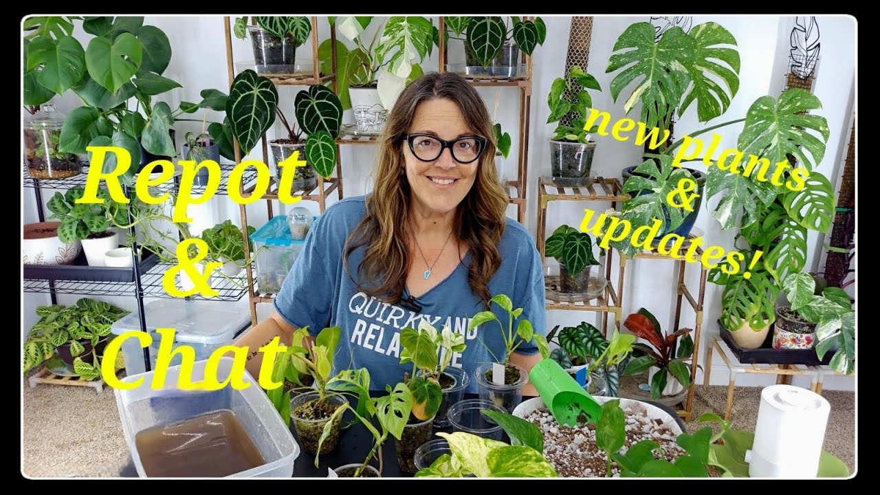 Repot & Relax | Long Form Plant Care & Chat