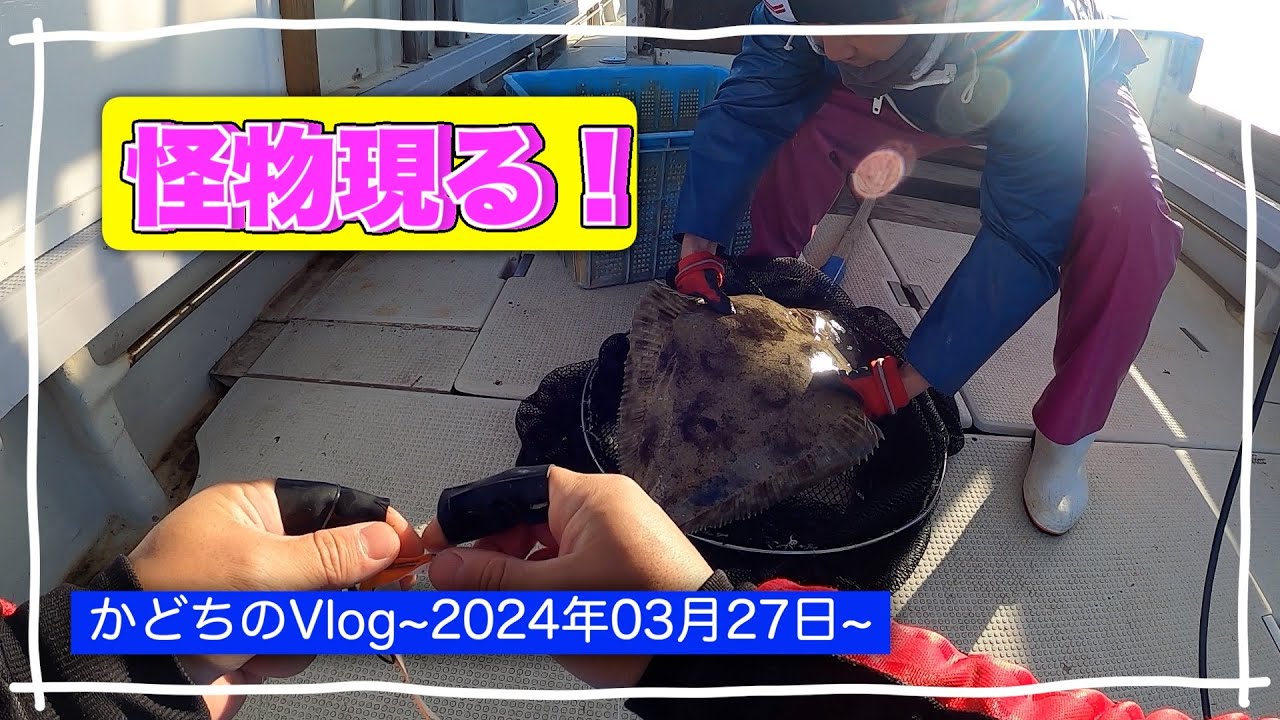 [衝撃]怪物ヒラメ現る！今期最大サイズが釣れた！[何げない漁の様子][Vlog]