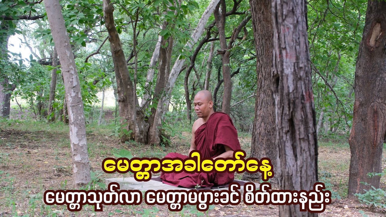 မေတ္တာအခါတော်နေ့၊ မေတ္တာသုတ်လာ မေတ္တာမပွားခင်စိတ်ထားနည်း