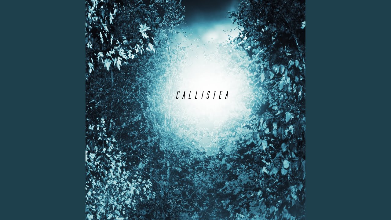 Callistea