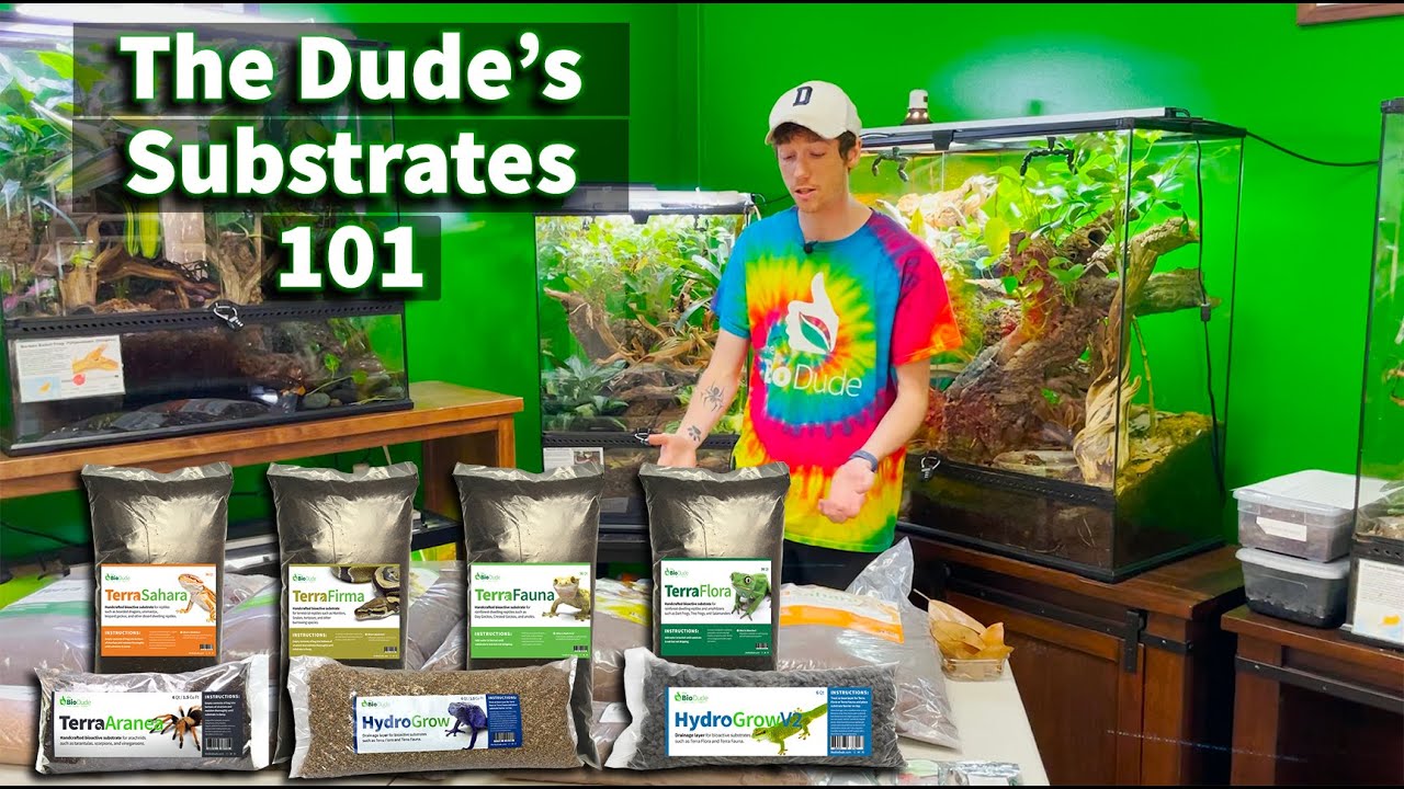 The Dude's signature Substrates 101