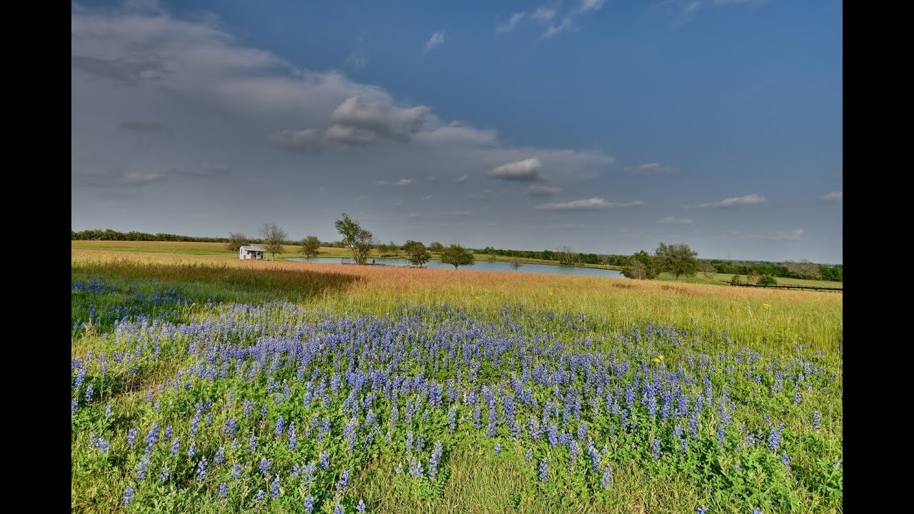 High Point Ranch Bellville Texas