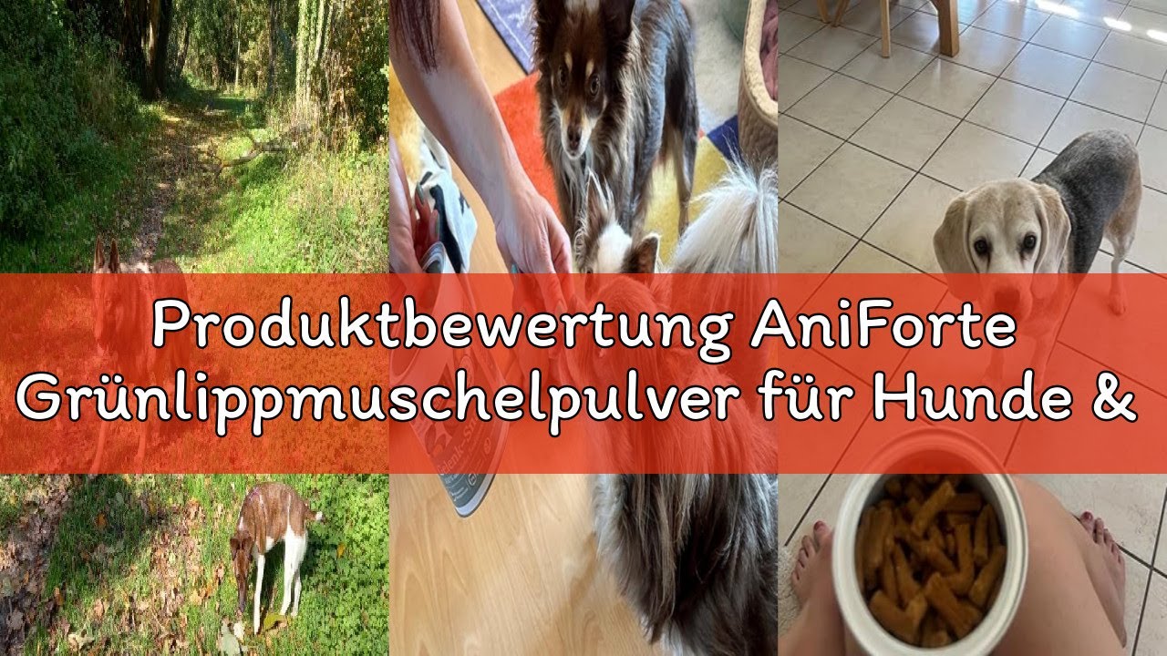 Produktbewertung AniForte Grünlippmuschelpulver für Hunde & Katzen 100g - VERGLEICHSSIEGER 2023 Gele