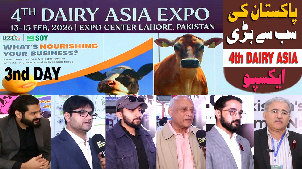 Основные моменты выставки Dairy Asia 2026 | Современные решения для сельского хозяйства, техники ...