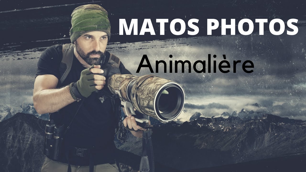 MON MATERIEL + INFOS PHOTO ANIMALIERE