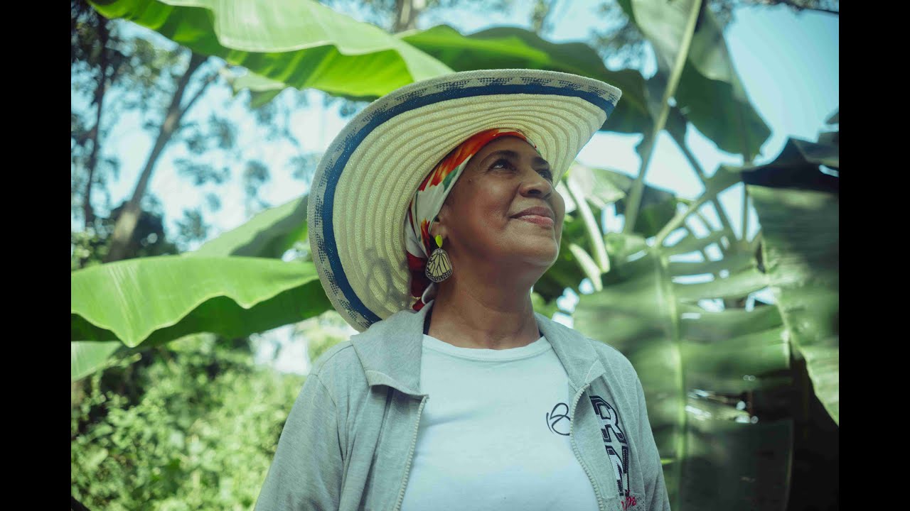 GUARDIANES DE CRISALIDAS | Documental | Alejo Manjarrez