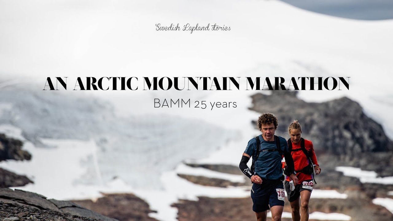 BAMM — running the Arctic