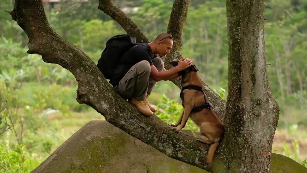 DOGVENTURE EPISODE 11 - BERMALAM DI HUTAN BERSAMA SPARTAKUS