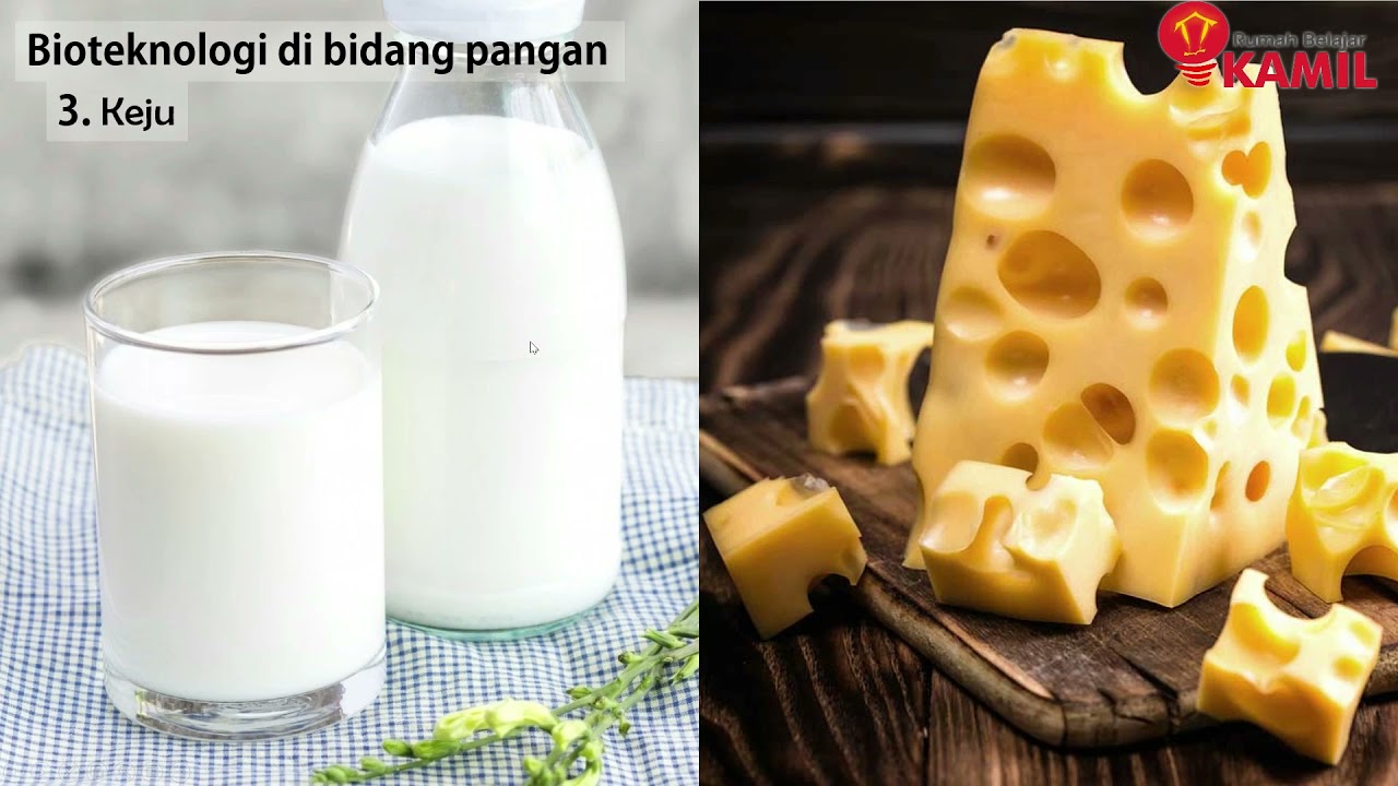 IPA Kelas 9 Semester 2 : Bioteknologi (Part 1 : Bioteknologi di Bidang Pangan)