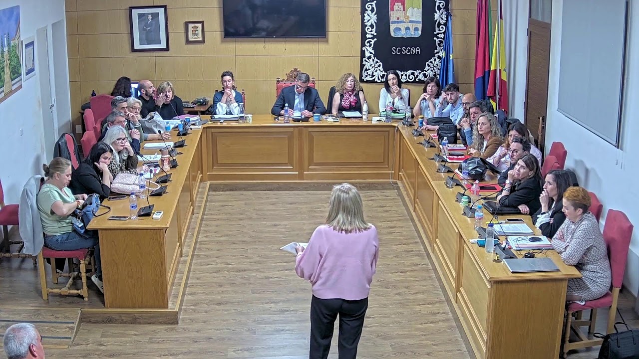 Pleno Ordinario del 26 de febrero de 2026
