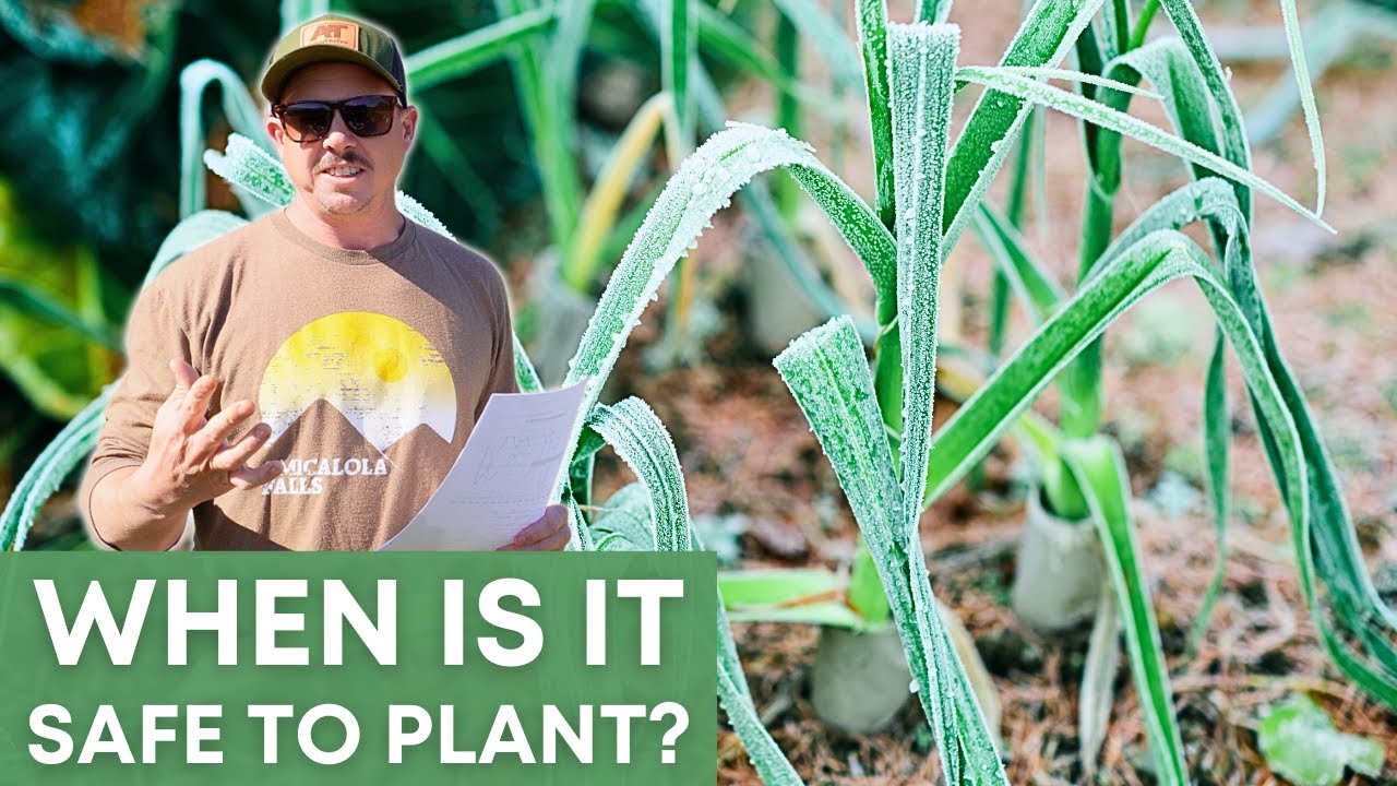 When Is Your REAL Last Frost Date? | The Results May Surprise You!
