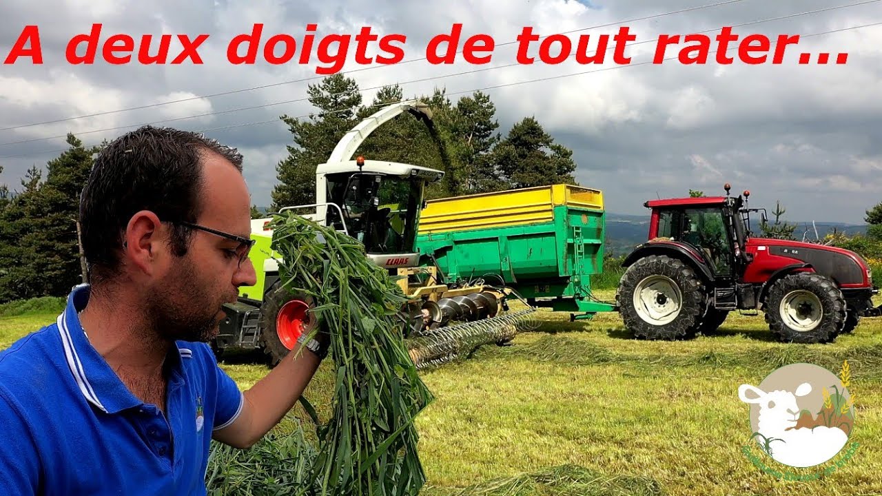 Ensilage sur la ferme, l'herbe est bonne?? N°121