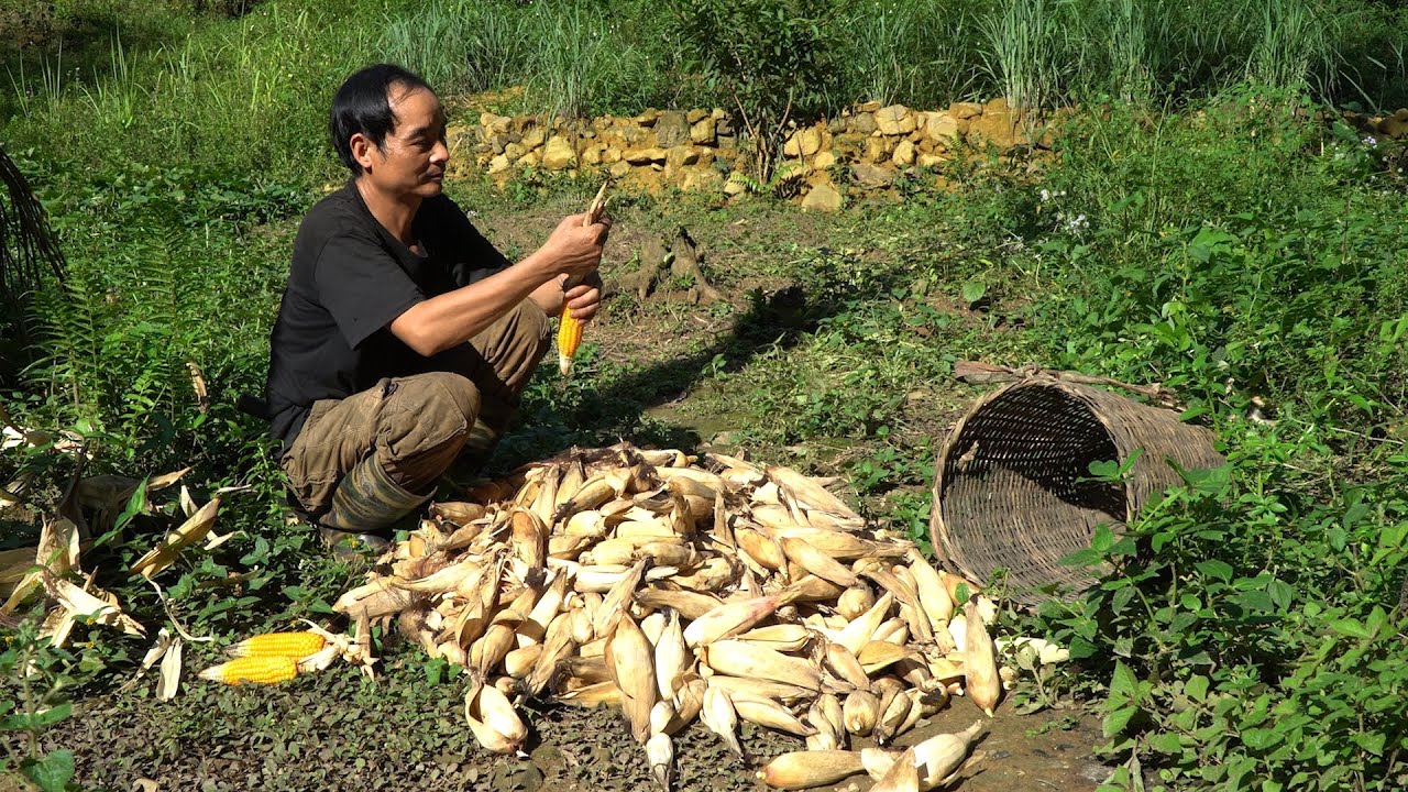 Reap the land - Trade to survive | LIVING OFF THE GRID | Episode 76