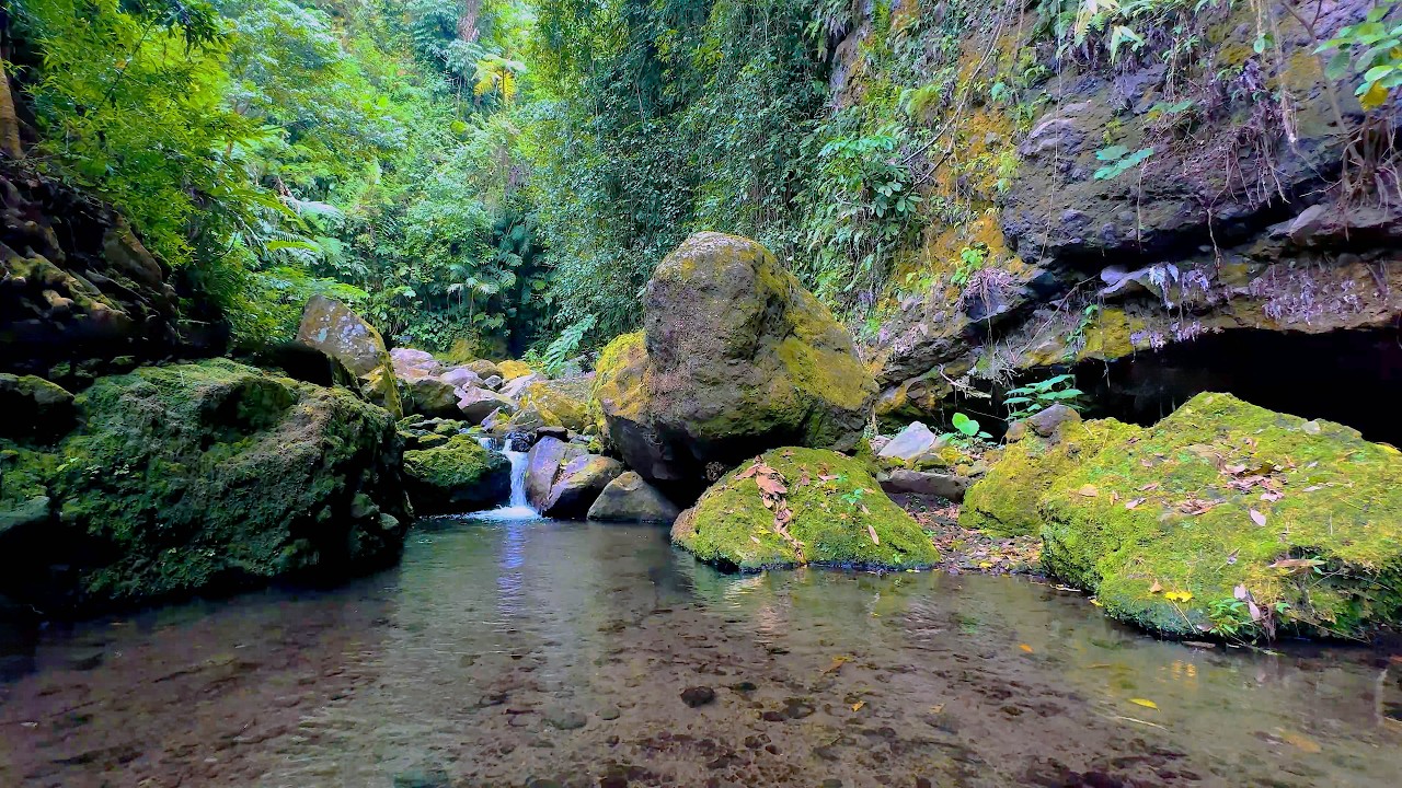 Immersive Forest River Ambience: Pure Water Currents and Natural Soundscape