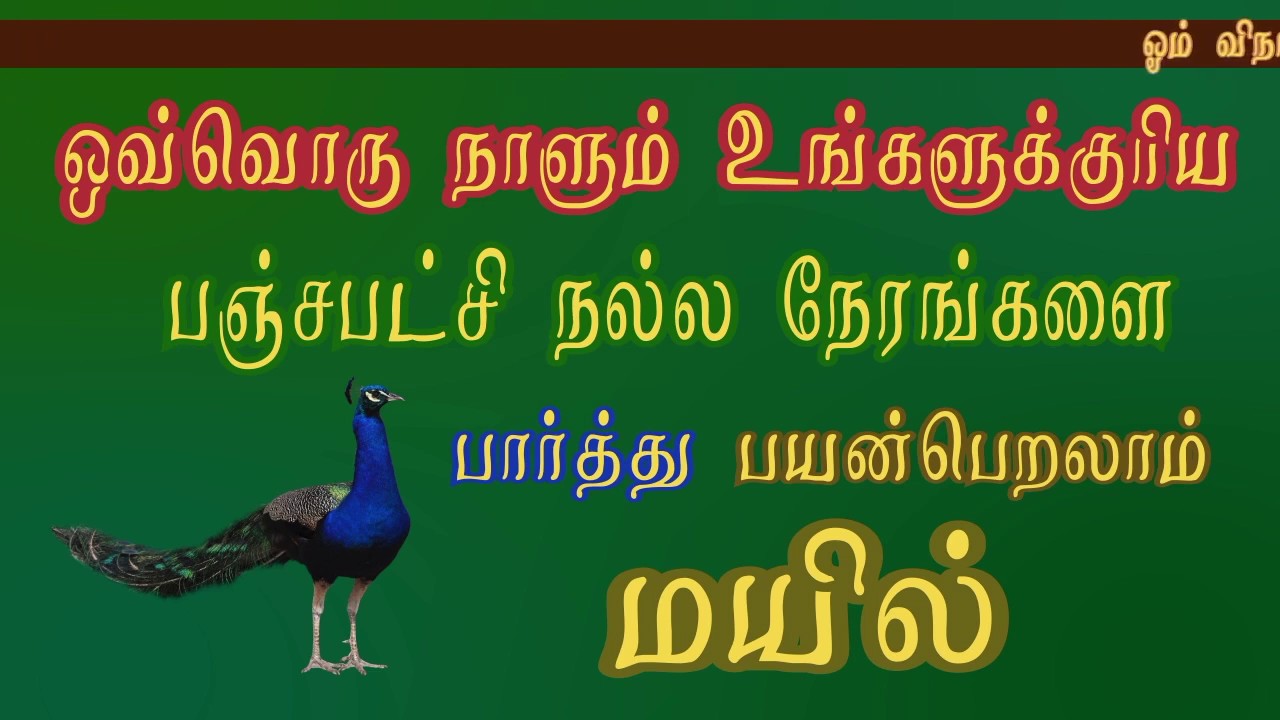 உங்களுக்குரிய நல்ல நேரங்கள் பஞ்சபட்சி (மயில்) | Tamil Astrology | Astro Kasiram