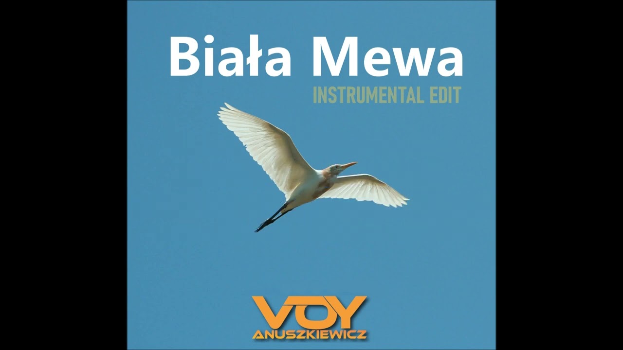 Biała Mewa (Karaoke) - Voy Anuszkiewicz
