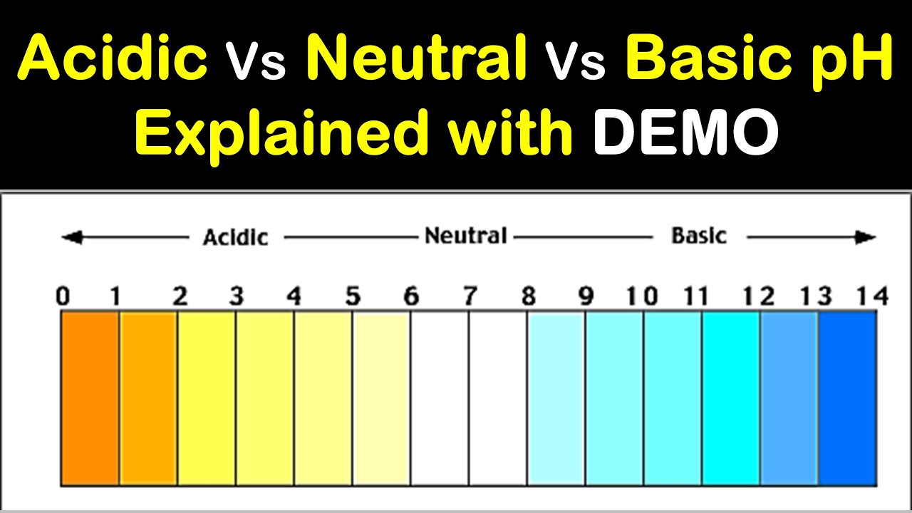 Acidic vs Neutral vs Alkaline pH | Hindi | Priyank Singhvi