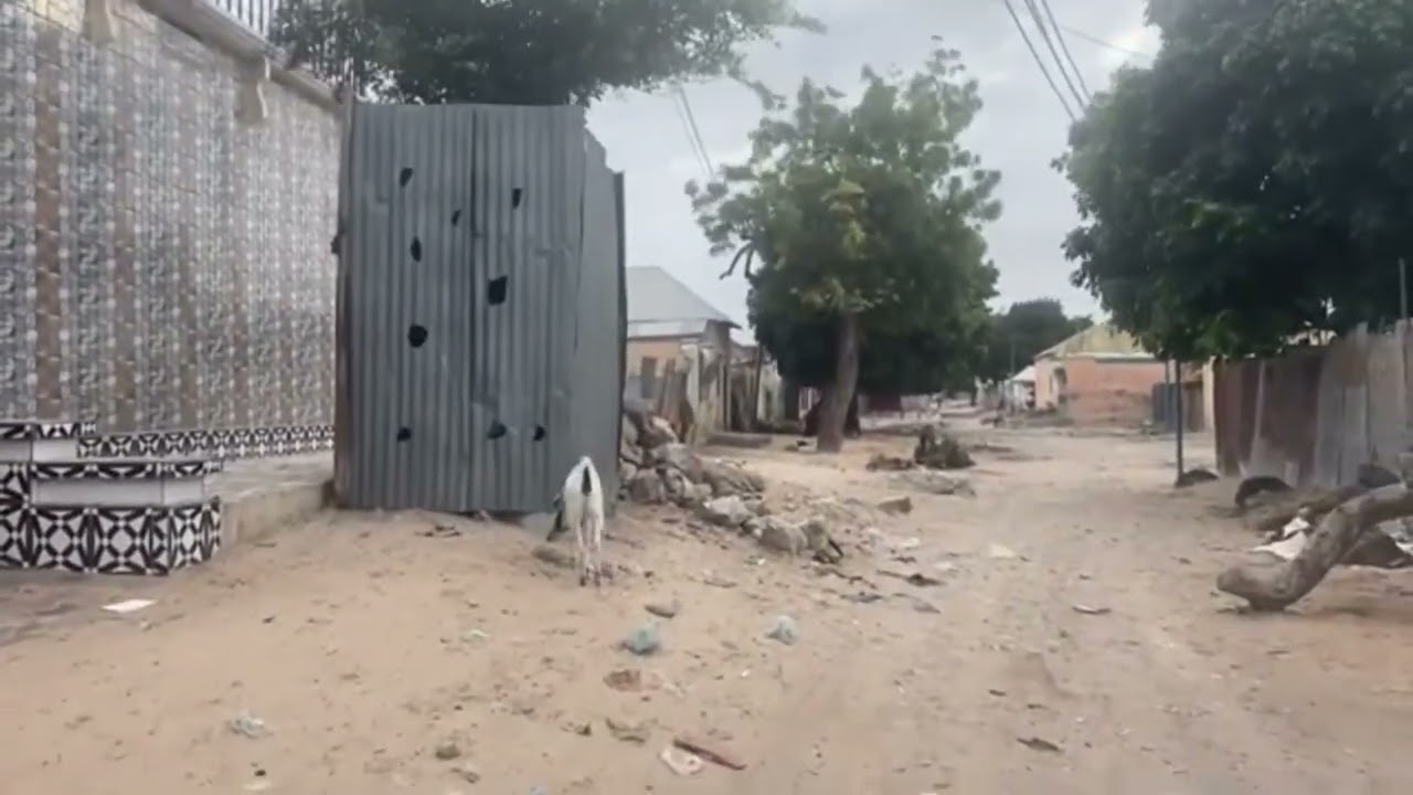 Xaafada juungal, muqdisho, yaqshid