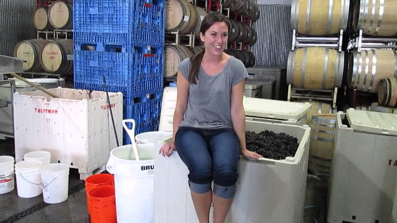 Foot trodding grapes at Talisman