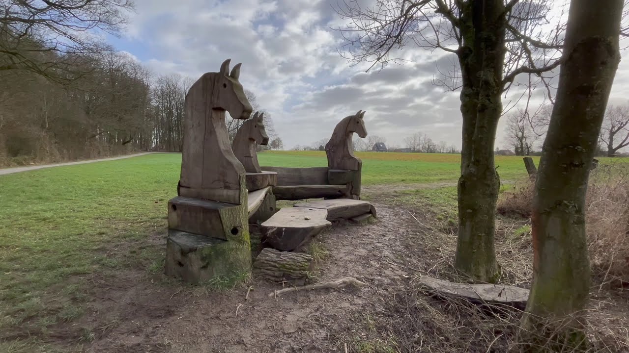 Wandern entlang von Kunst aus Holz und vegane Wurst vom Gaskocher