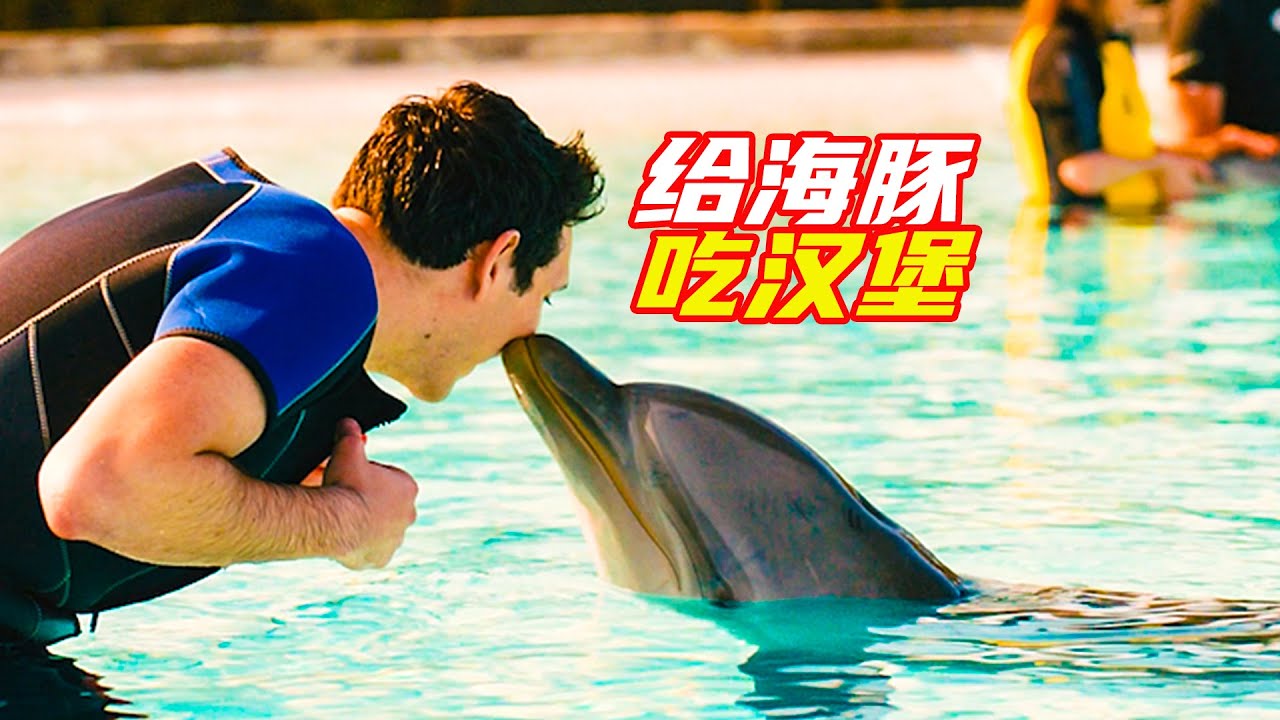 奇葩小夥給海豚喝可樂吃漢堡，結果海豚翻了白肚皮，隨後讓水上樂園亂了套；奇幻片，獵奇，搞笑，喜劇，電影解說