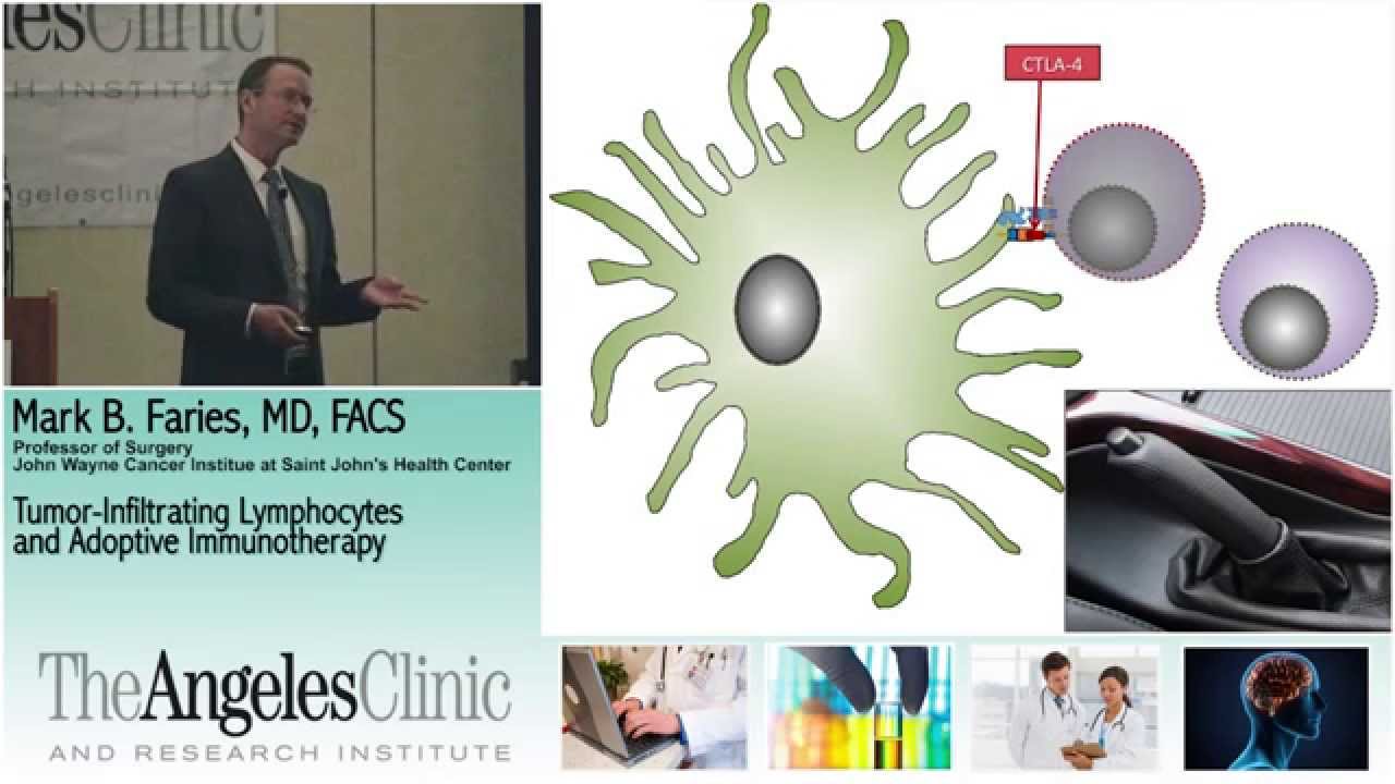 TIL and Adoptive Therapy - Mark B Faries MD