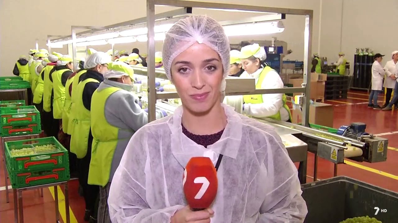 El ciruelo - Reportaje Diciembre 2017, Uvas de mesa El Ciruelo. 🍇