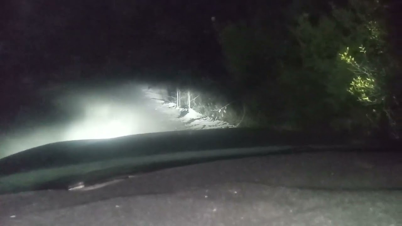 im back, stranded and still adorable tehe