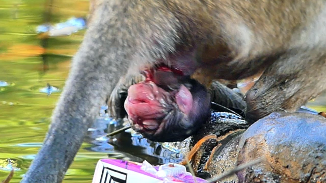 P@@r young female giving birth successfully, but baby n+o oxygen | Baby Fabulous