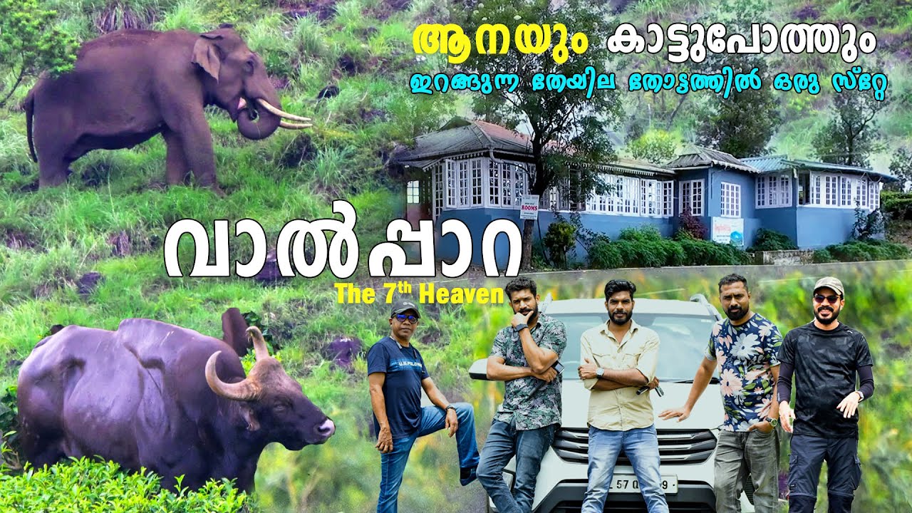 Ernakulam to Valparai Road Trip via malakkappara | VALPARAI | Athirapilly - Valparai places 