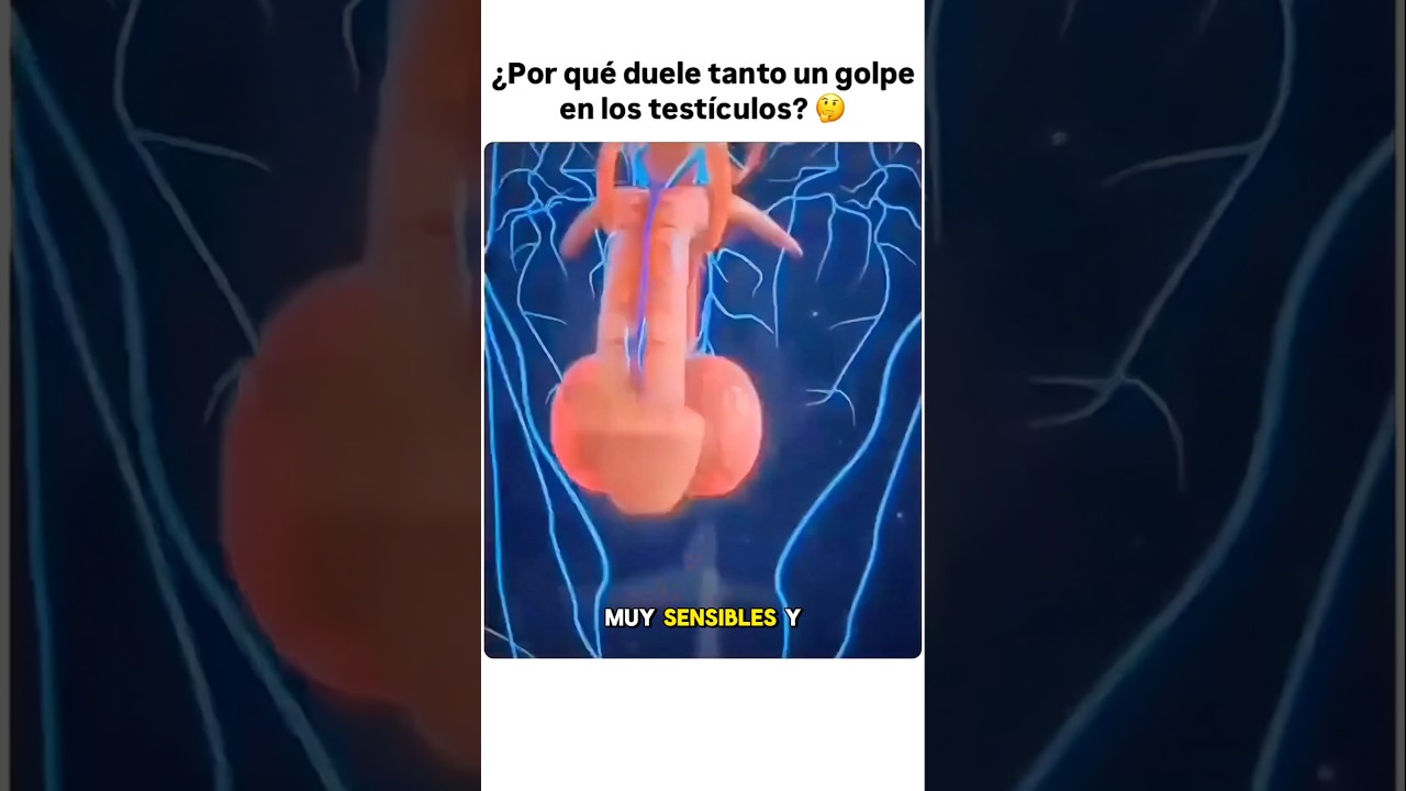 ¿Por qué duele TANTO un golpe en LOS TESTÍCULOS?