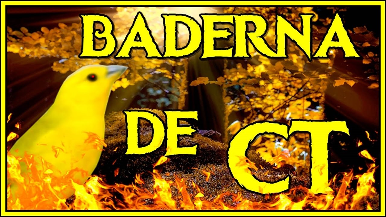 ESQUENTE SEU CANÁRIO DA TERRA!