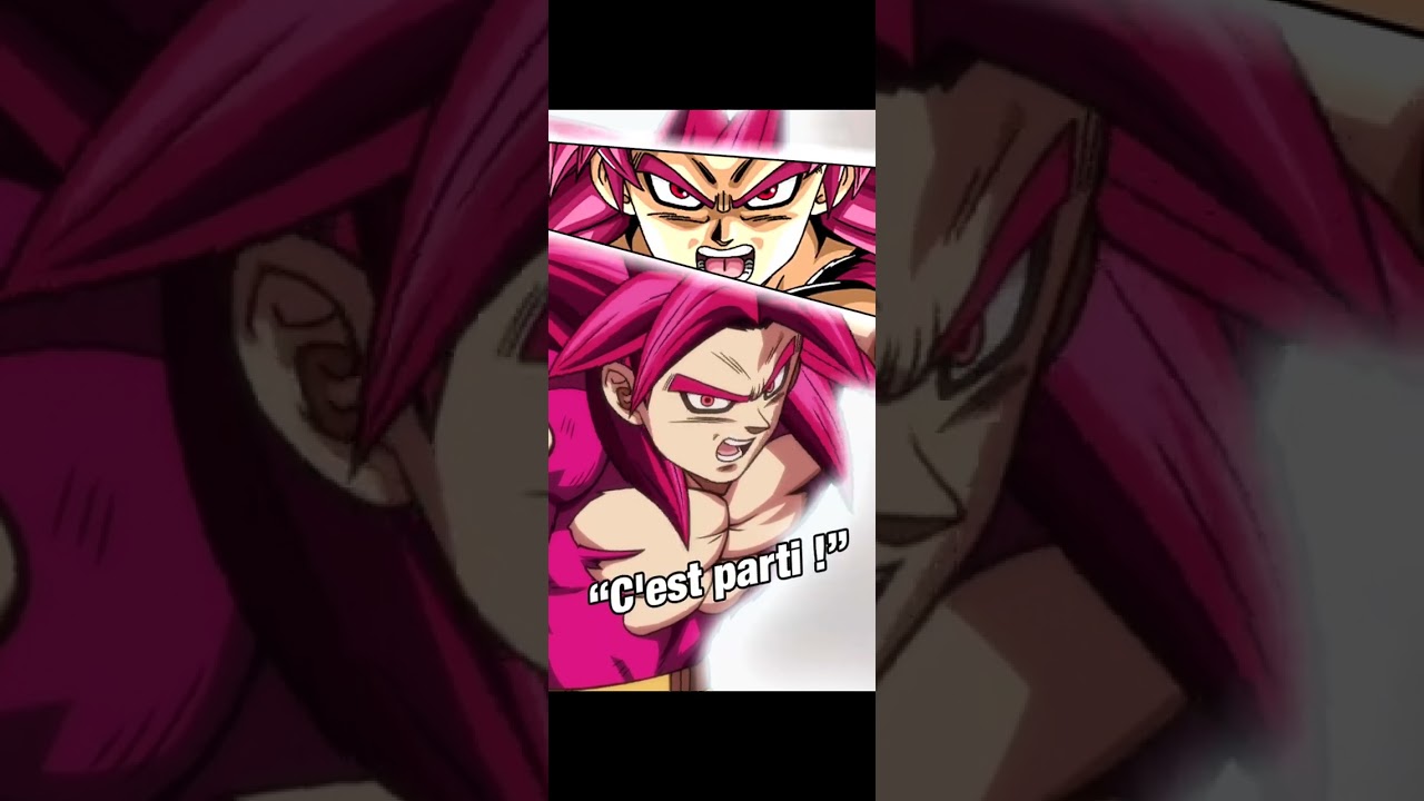 Dokkan Battle 11 Ans Anniversaire Red Zone Saga GT Niveaux 7 
